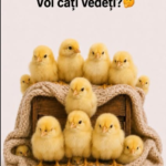 Provocarea delicioasă din bucătărie – desertul care îi face pe copii să ceară încă o porție Image 65