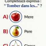 „Tomber dans les pommes” – completarea expresiei și adevăratul ei sens în limba franceză Image 68