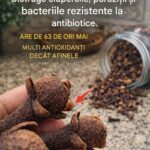 Beneficiile cuișoarelor pentru sănătate: un condiment valoros cf-featured-1