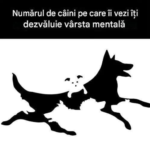 Iluziile optice și nutriția creierului: Elixirul pentru o minte tânără cf-featured-18