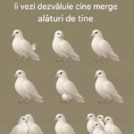 Mesajele ascunse ale porumbeilor: Ce simbolizează numărul lor cf-featured-195