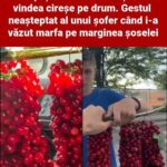 Creativitate și Hărnicie: Povestea unui Mic Vânzător din Iași cf-featured-231