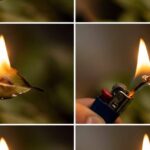Lauriul: Un Ritual Ancestral pentru Transformarea Spațiului Tău Interior cf-featured-26