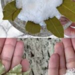 Îmbrăcăminte proaspătă: 3 ingrediente naturale care fac minuni cf-featured-29