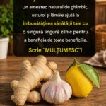 Beneficiile amestecului natural de miere, lămâie, ceapă, usturoi și ghimbir cf-featured-375