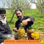 Siropul de păpădie: rețetă tradițională și beneficii cf-featured-460