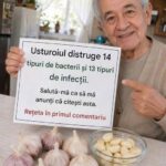 Usturoiul: Beneficii, Proprietăți și Mituri Despre Acest Ingredient Valoros cf-featured-710