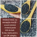 Beneficiile chimenului negru: un remediu natural pentru sănătate cf-featured-713
