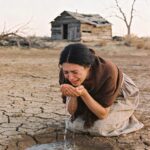 Femeia care a transformat un teren uitat într-o oportunitate de viață cf-featured-746