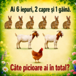 Provocarea Inteligenței – Cum Îți Antrenezi Mintea și Îți Hrănești Creativitatea în Fiecare Zi Image 1
