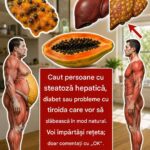 Beneficiile semințelor de papaya pentru sănătate cf-featured-1146