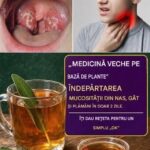 Ceaiul de salvie și inhalarea aburului: Remedii naturale pentru sănătatea respiratorie cf-featured-1155