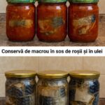 Rețete delicioase de conserve de macrou pentru iarnă cf-featured-1235