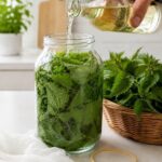 Beneficiile Urzicii: Remediul Natural pentru Sănătate cf-featured-1575