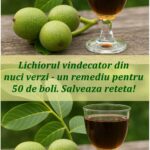 Beneficiile și Rețeta Lichiorului din Nuci Verzi cf-featured-177