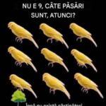 Provocarea vizuală: „Nu e 9, câte păsări sunt atunci?” cf-featured-193
