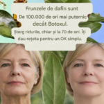 Frunzele de dafin: Soluția naturală pentru o piele tânără și sănătoasă cf-featured-294
