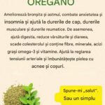 Oregano: Comoara naturală pentru sănătatea ta cf-featured-305