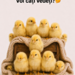 Provocarea delicioasă din bucătărie – Desertul care îi face pe copii să ceară încă o porție cf-featured-32