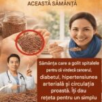 Beneficiile semințelor: O comoară nutrițională pentru sănătatea ta cf-featured-348