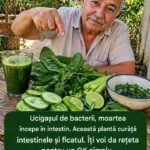 Beneficiile Spanacului pentru Sănătatea Intestinală și Hepatică cf-featured-36
