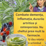 Beneficiile salviei: o plantă medicinală cu tradiție cf-featured-386
