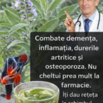 Beneficiile salviei: o plantă aromatică cu proprietăți terapeutice cf-featured-421