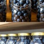 Cum să păstrezi fructele de pădure proaspete pentru ani de zile cf-featured-426