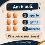 Provocarea Logicii Ascunse: Întrebări pentru Genii cf-featured-556