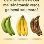 Care banană este cea mai sănătoasă? Ghidul complet al etapelor de coacere cf-featured-643