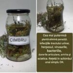 Beneficiile cimbrului: o plantă mediteraneană cu proprietăți terapeutice cf-featured-740