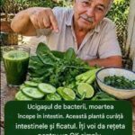 Beneficiile Spanacului pentru Sănătatea Intestinală și Hepatică cf-featured-818