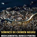 Beneficiile chimenului negru: un remediu natural cu proprietăți extraordinare cf-featured-863