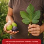 Beneficiile frunzelor de smochin: un ingredient valoros în medicina tradițională cf-featured-867