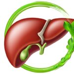 Detoxifierea ficatului cu pelin și mentă: Beneficii și rețetă cf-featured-931