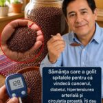 Beneficiile semințelor miraculoase pentru sănătate cf-featured-932