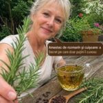 Rozmarin și cuișoare: Proprietăți, Beneficii și Rețetă Ușor de Preparat cf-featured-954