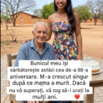 🎂❤️ La Mulți Ani, Bunicul Meu! – 88 de Ani de Dragoste, Sacrificiu și Înțelepciune translated_image_ro (14)